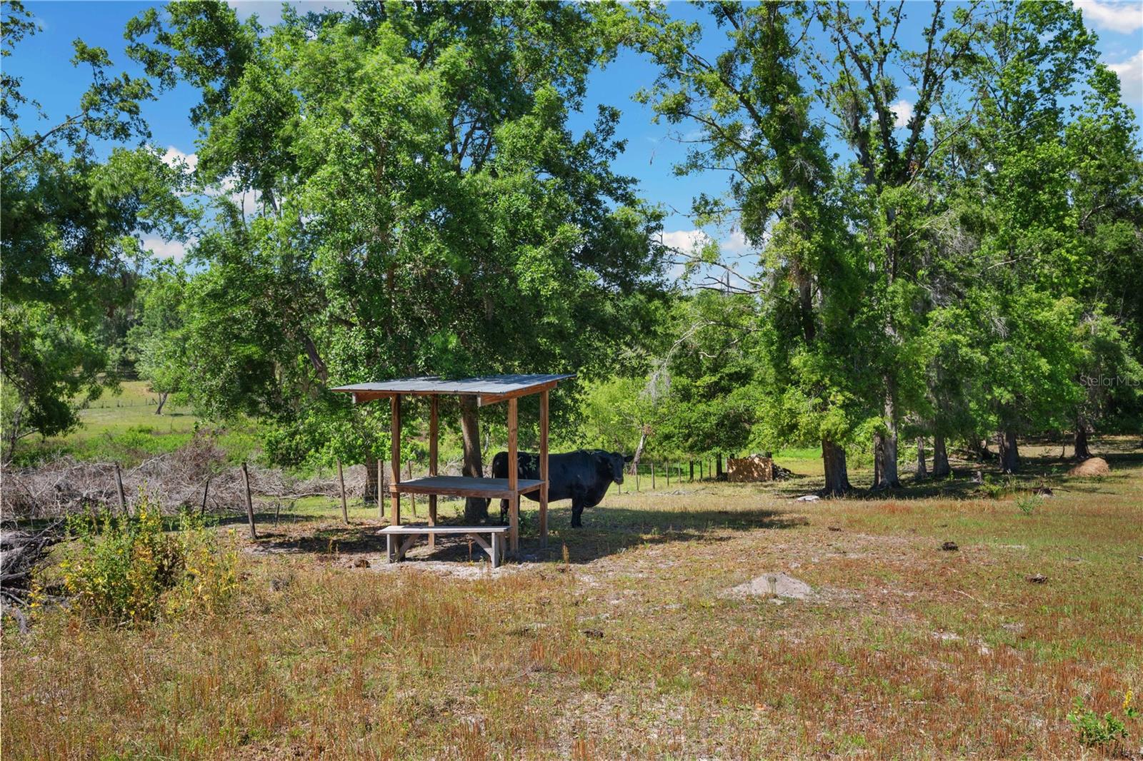 LAKEVIEW XING PH 2 - Residential