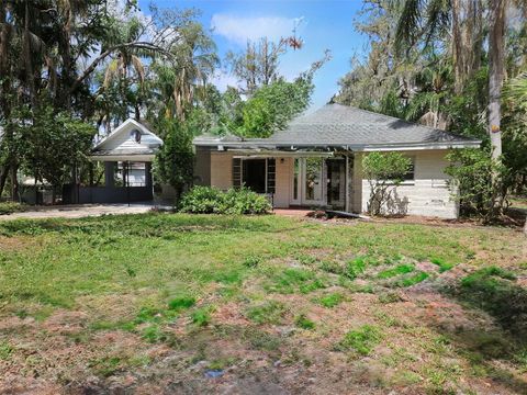 17306 LIVINGSTON AVENUE LUTZ FL 33559