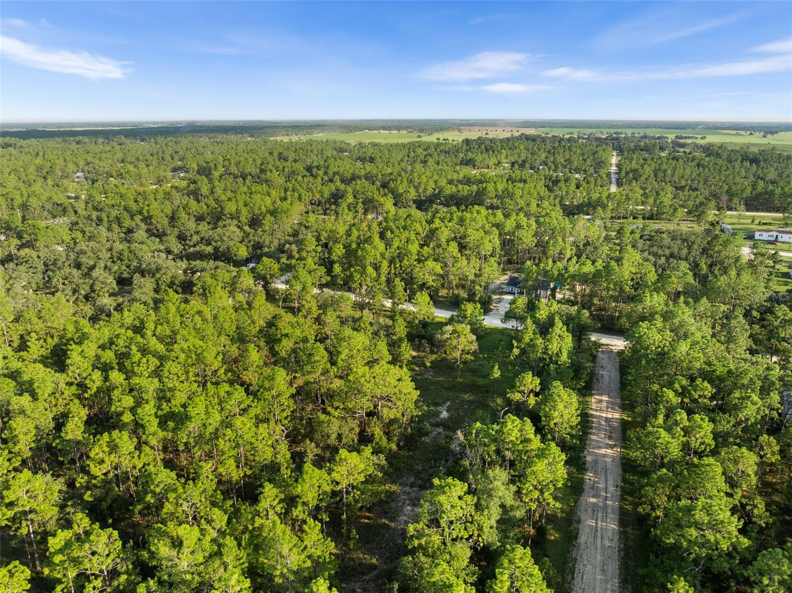 WILLISTON HLNDS - Land