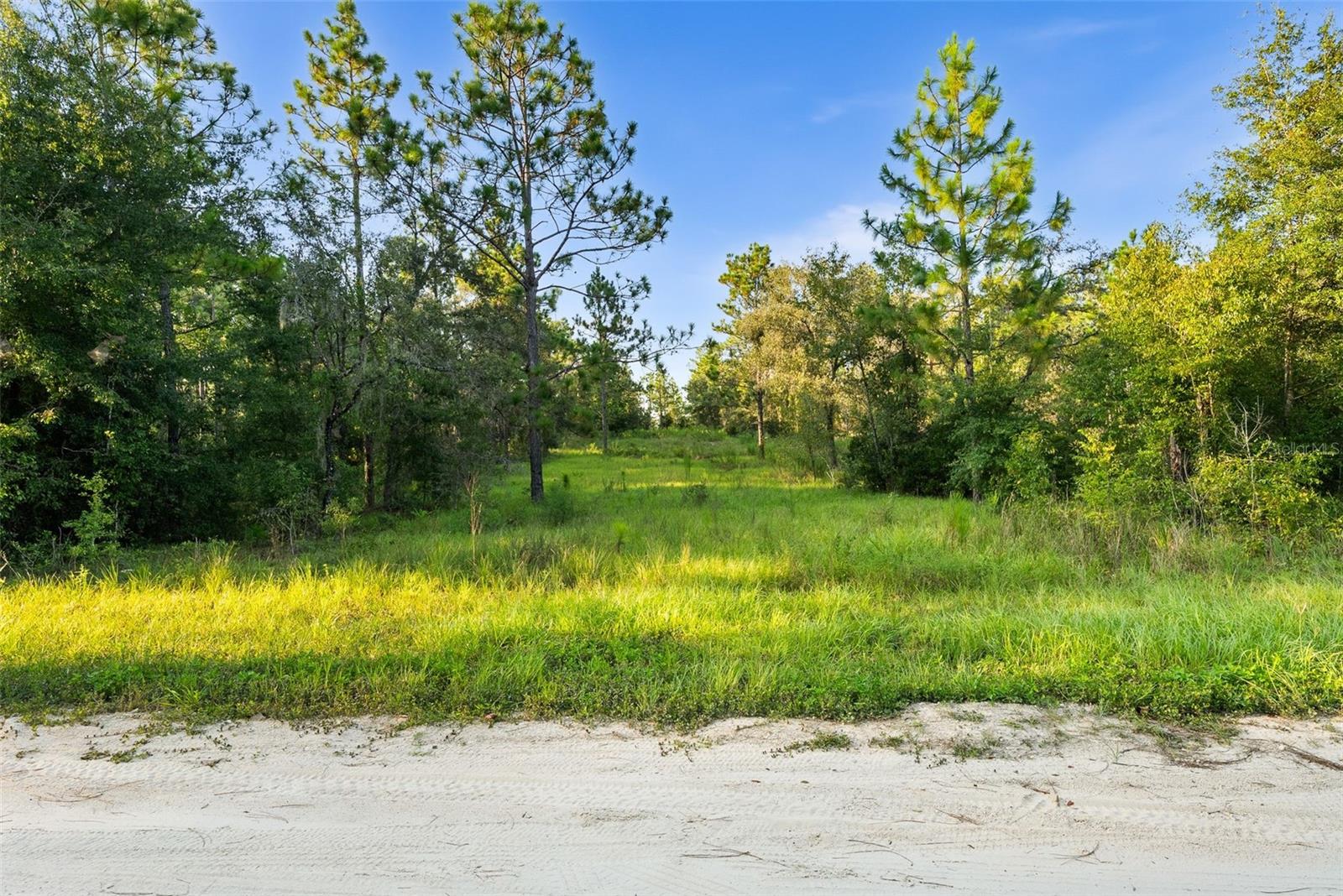 WILLISTON HLNDS - Land