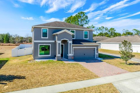 4360 TIGRIS DRIVE APOPKA FL 32712