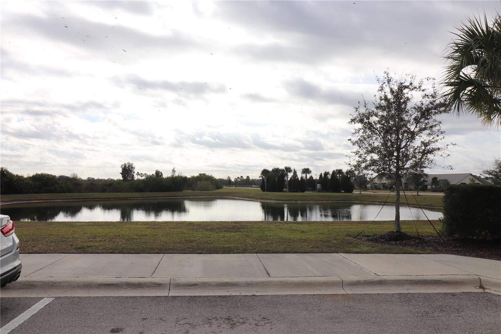 11936 SKY ACRES TERRACE, BRADENTON, FL, 34211 4 11936 SKY ACRES TERRACE