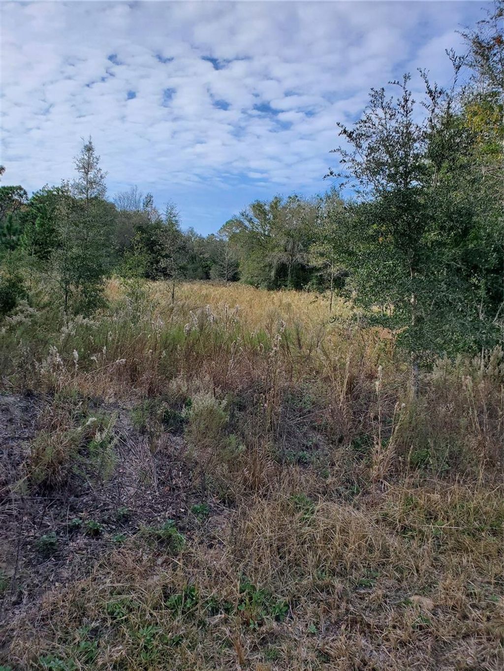 Photo of 5027 SW 181st Court, Dunnellon, FL 34432 (MLS # OM691482)