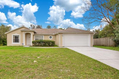 A home in DELTONA