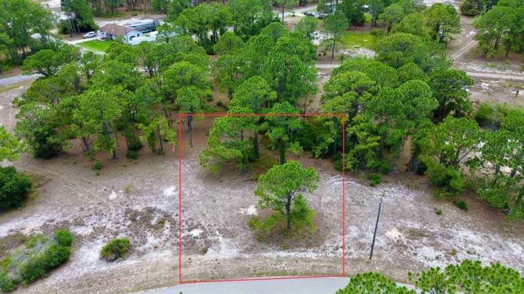 Photo of 668 Lake Tina Drive, Lake Placid, FL 33852 (MLS # A4683172)