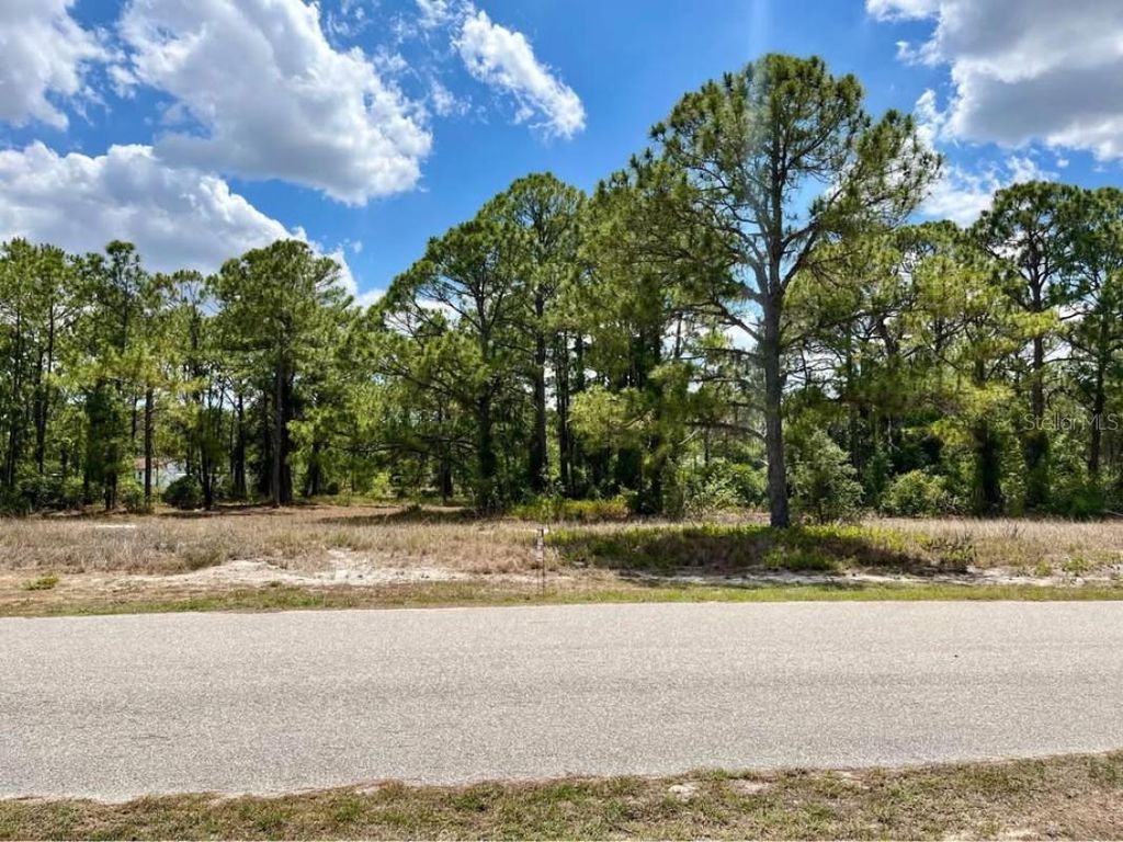 Photo of 668 Lake Tina Drive, Lake Placid, FL 33852 (MLS # A4683172)