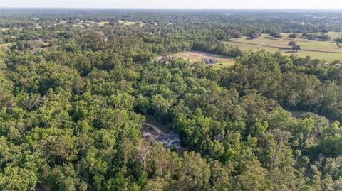 Tiny photo for 1251 SW 43rd Place, Ocala, FL 34471 (MLS # OM699183)