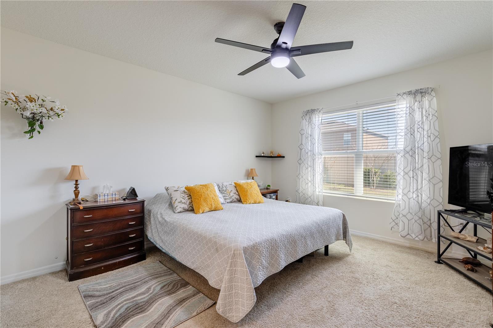 ELMWOOD - Residential