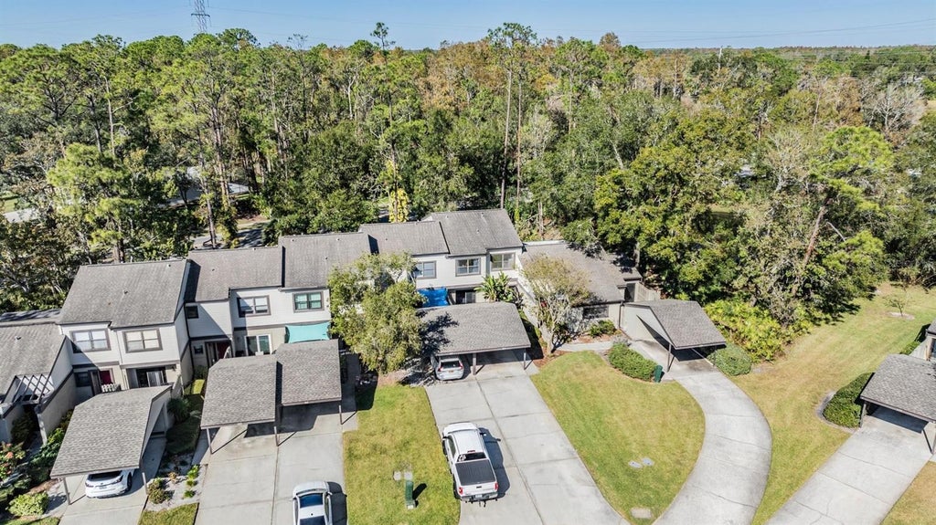 Photo of 215 Woods Landing Trail, Oldsmar, FL 34677 (MLS # TB8544503)