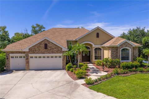 Photo of 12532 Twin Branch Acres Road, Tampa, FL 33626 (MLS # TB8405969)