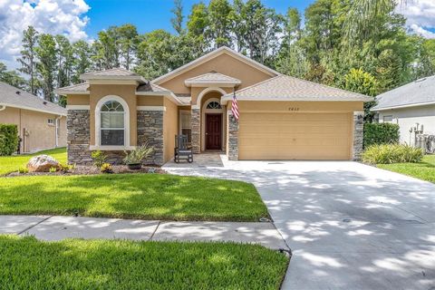 Photo of 7832 Blue Spring Drive, Land O Lakes, FL 34637 (MLS # TB8523972)