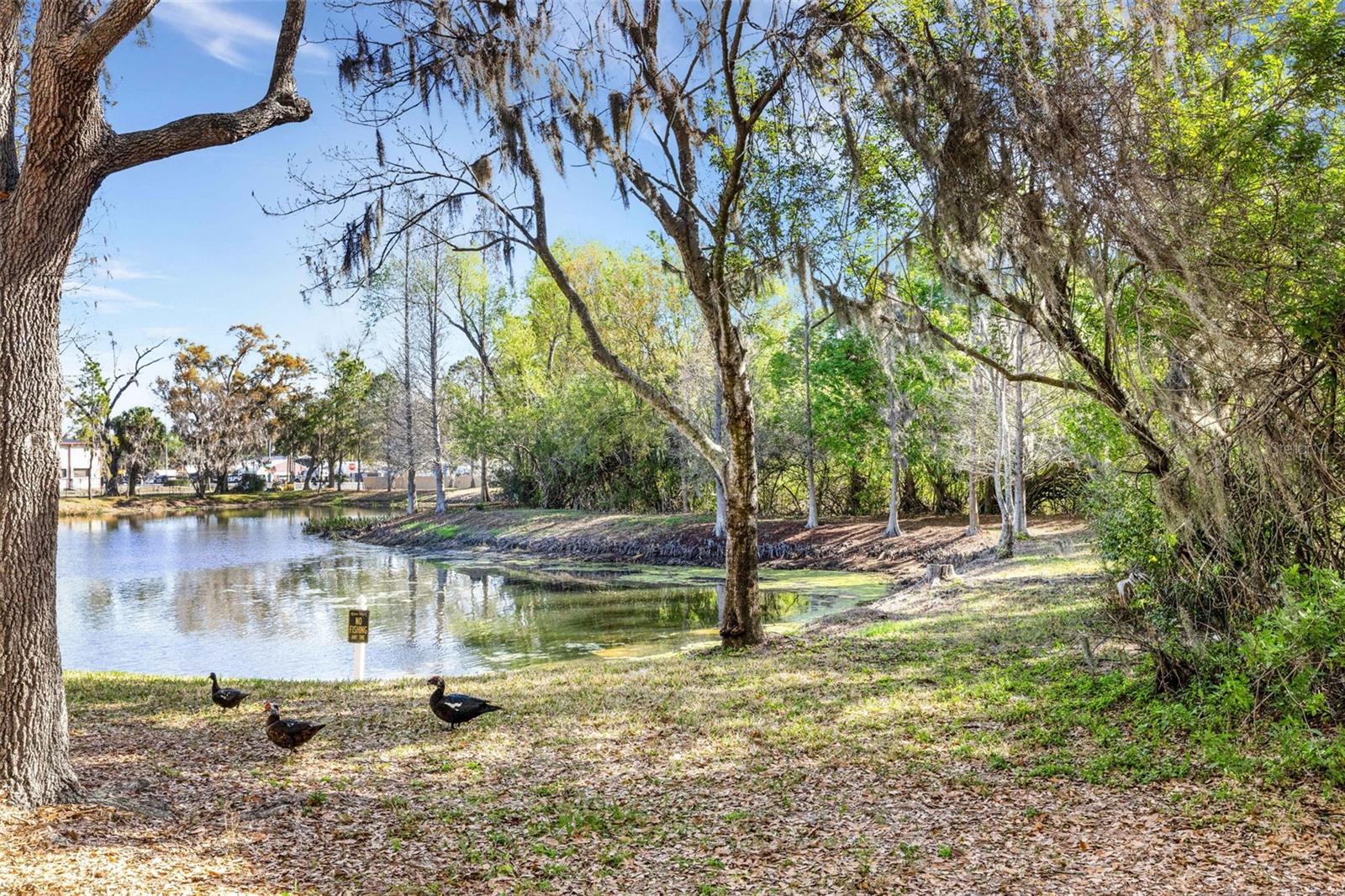 RIVER WALK - Residential Lease