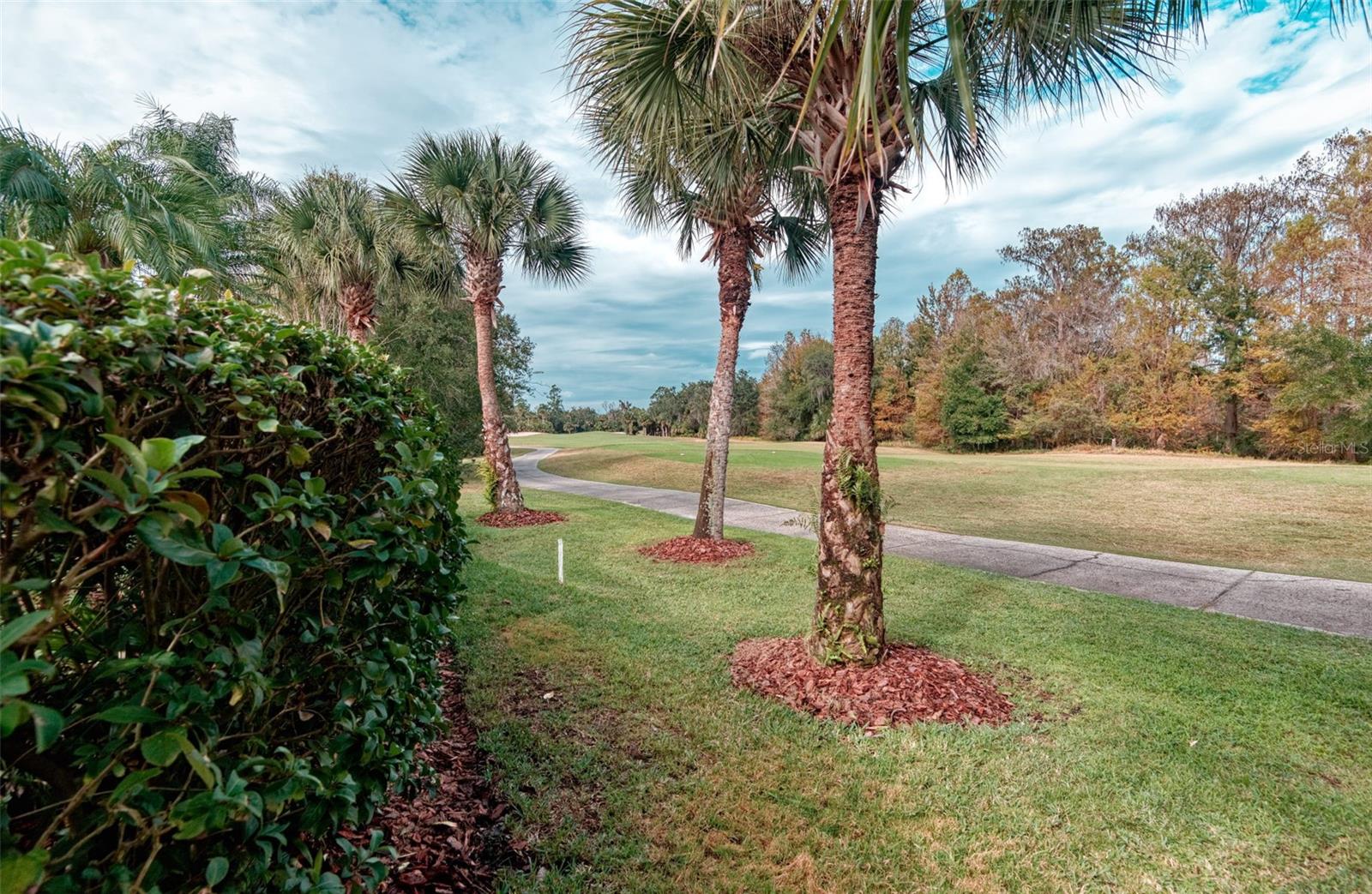 591 HIGHLANDS HAMMOCK DRIVE