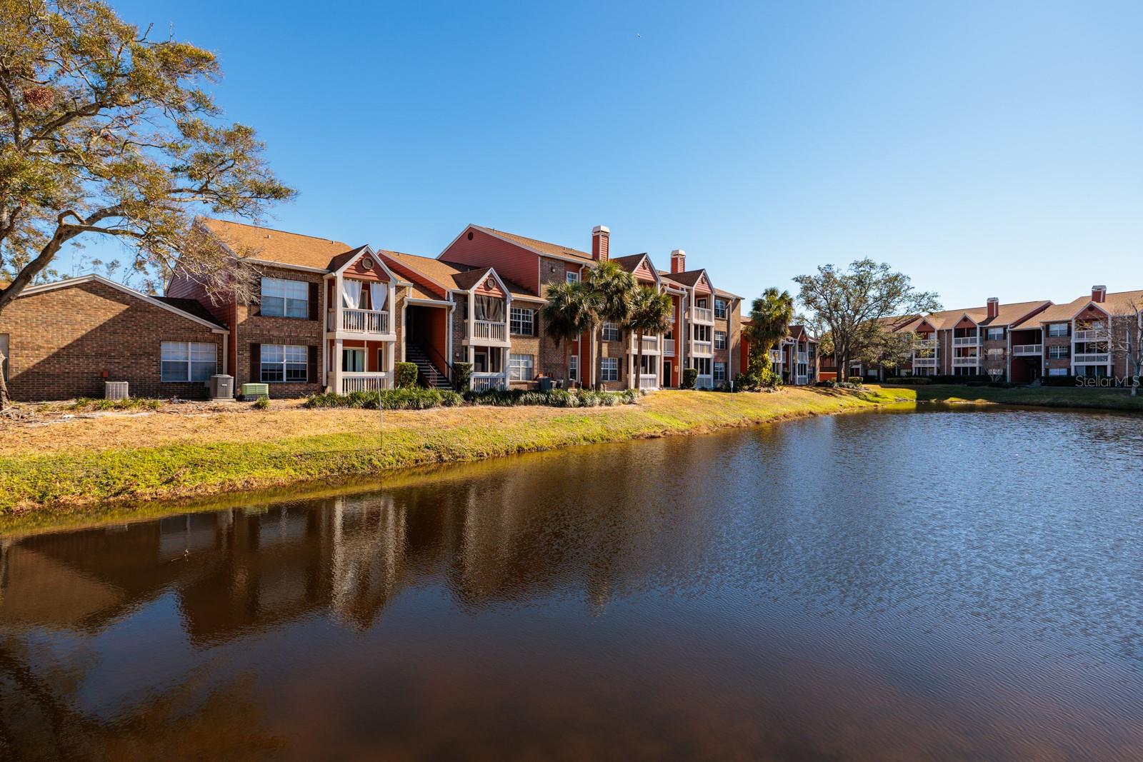 10200 GANDY BOULEVARD N 1313