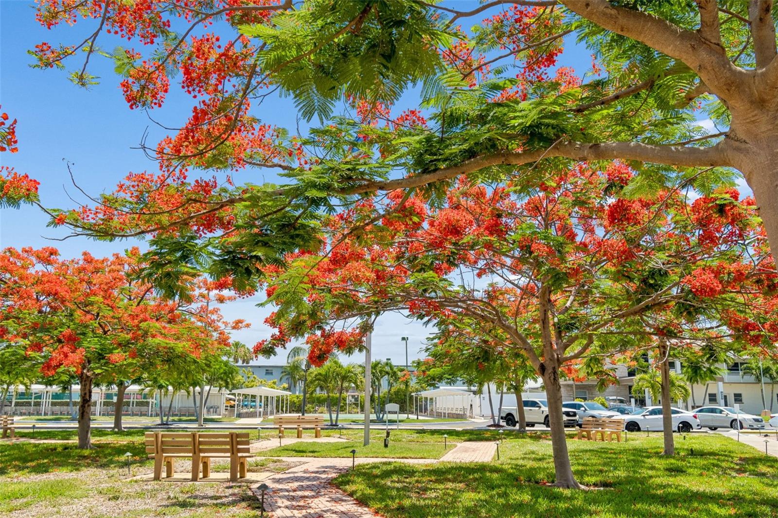 TOWN SHORES OF GULFPORT - Residential