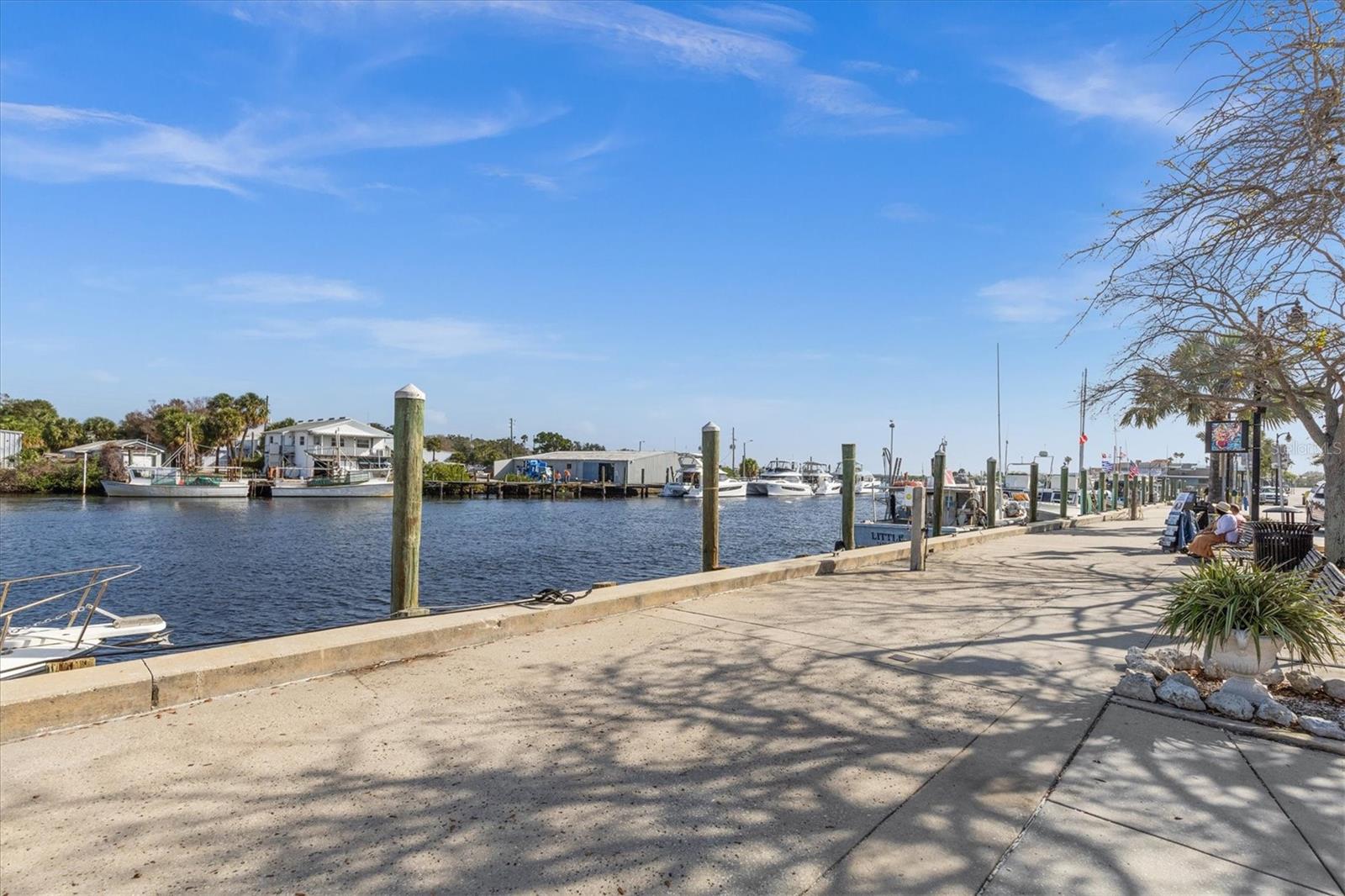 GREEN DOLPHIN PARK CONDO - Residential