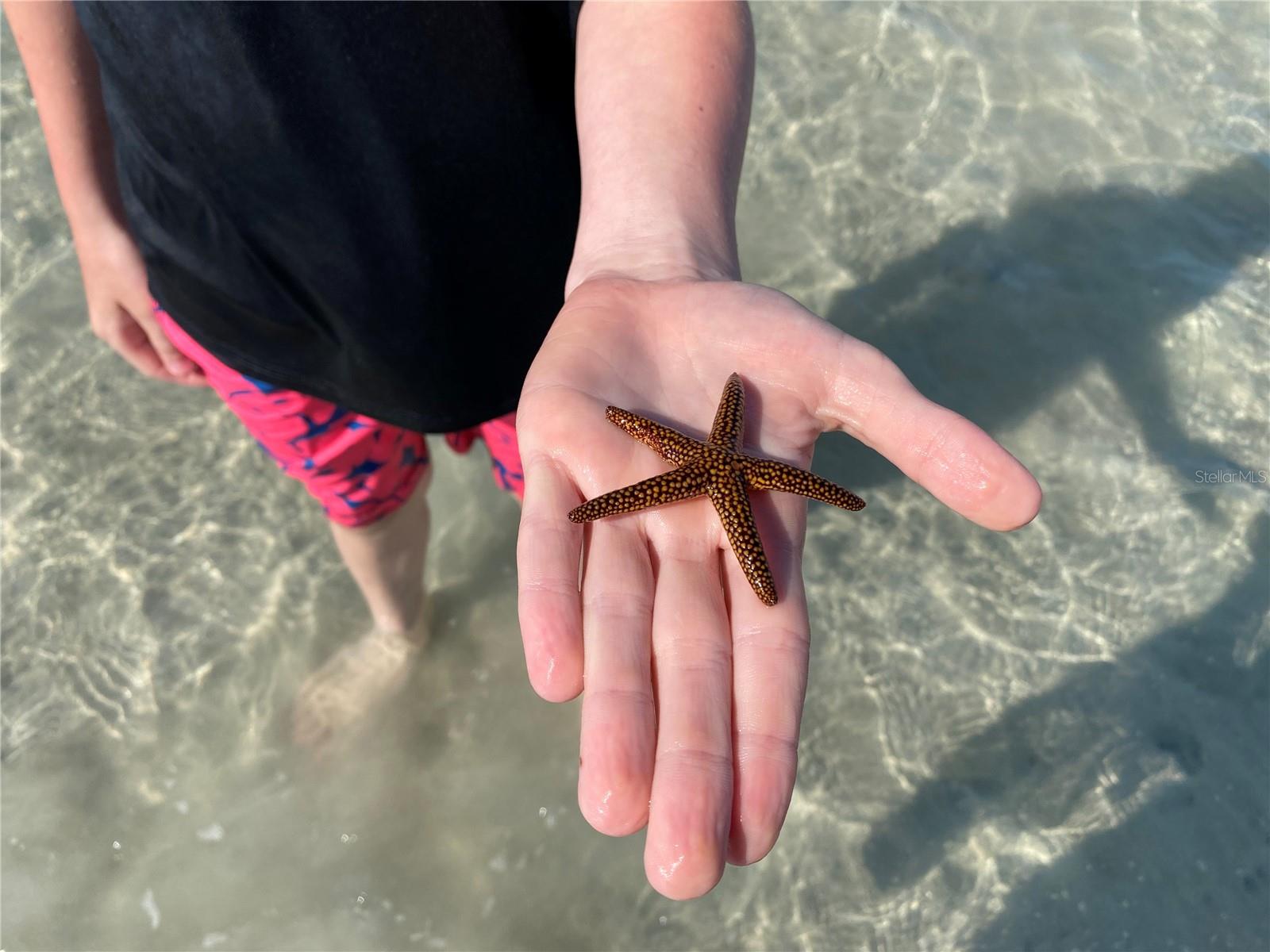 TAMARIND GULF & BAY BLDG D-1 - Residential