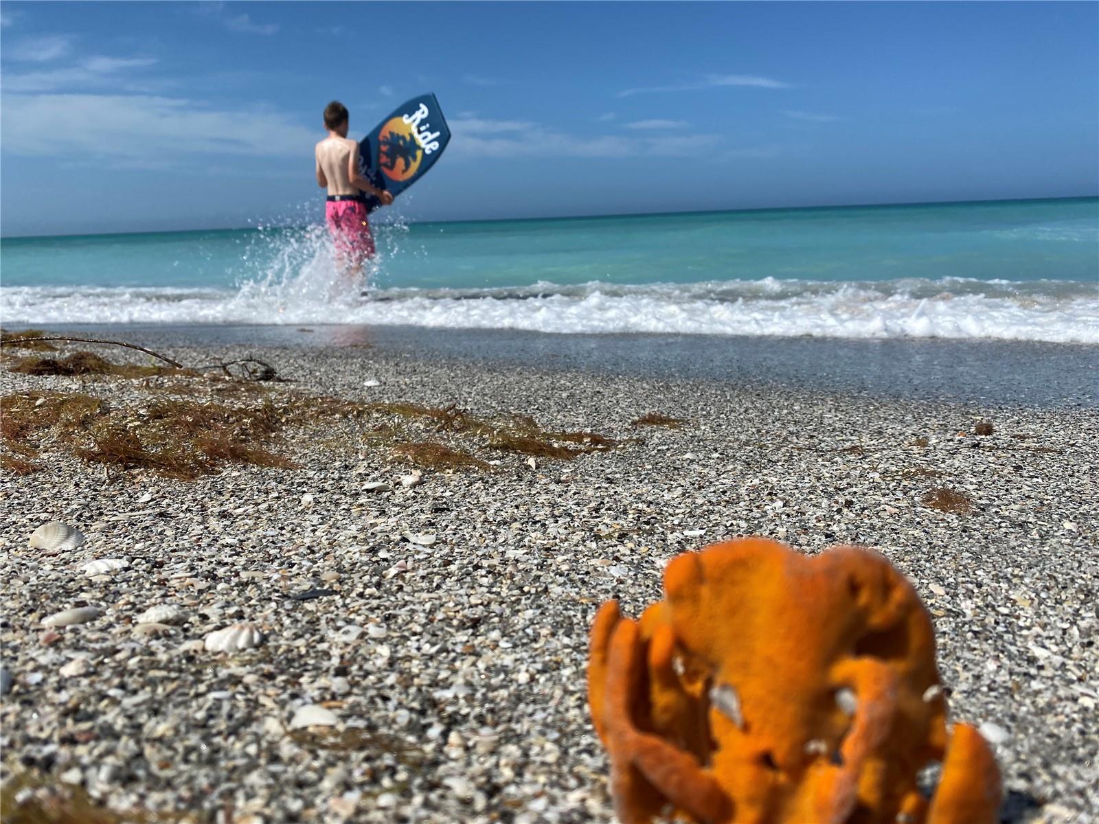 TAMARIND GULF & BAY BLDG D-1 - Residential