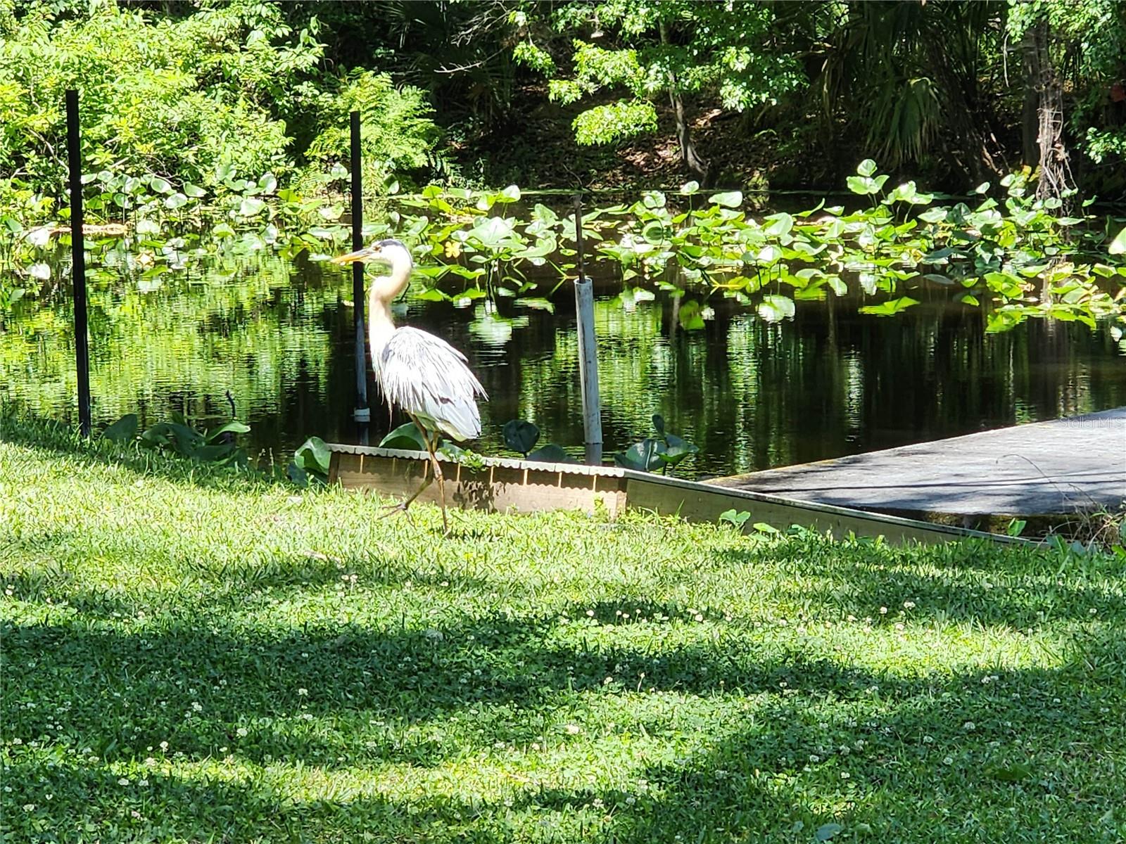 WEKIVA RIVER ACRES - Residential