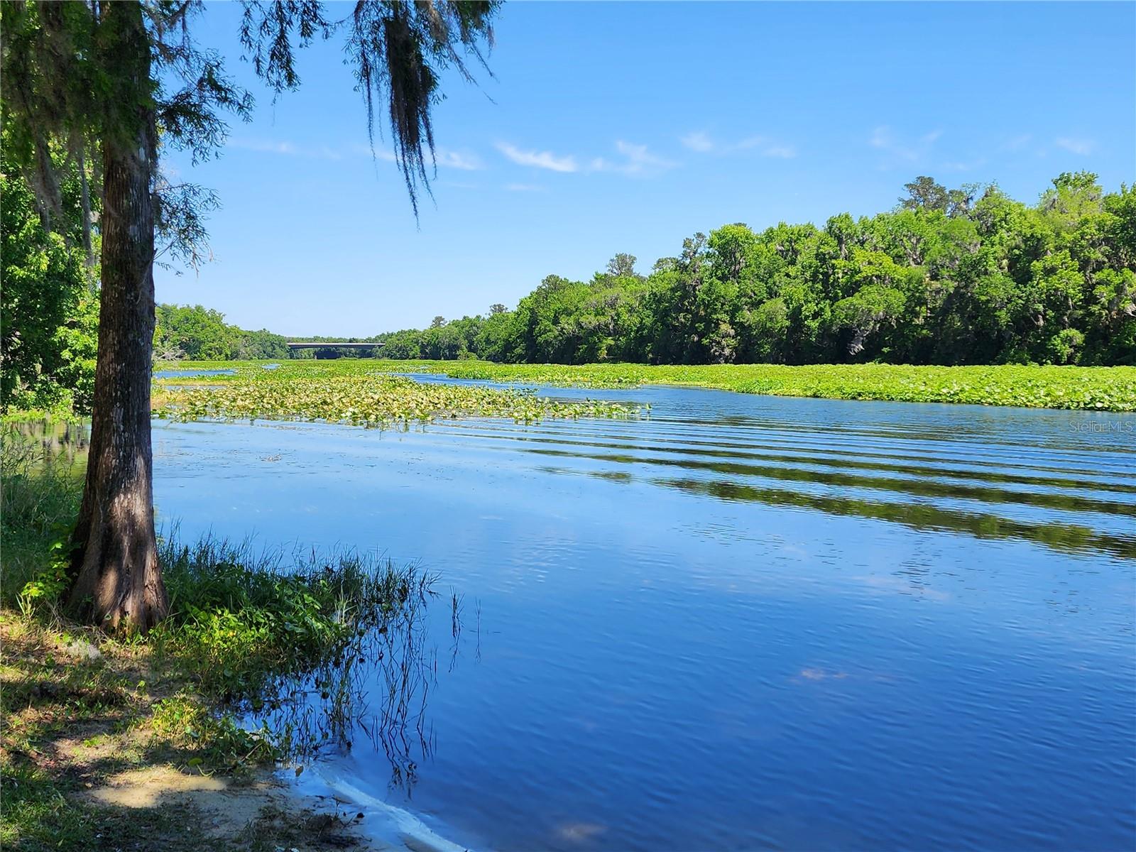 WEKIVA RIVER ACRES - Residential