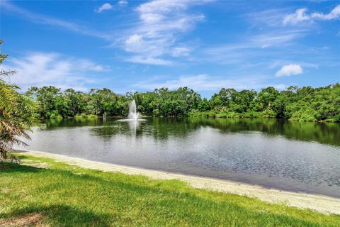 A home in PALM HARBOR