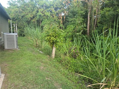 Photo of 679 Midori Street, Orlando, FL 32811 (MLS # O6322292)