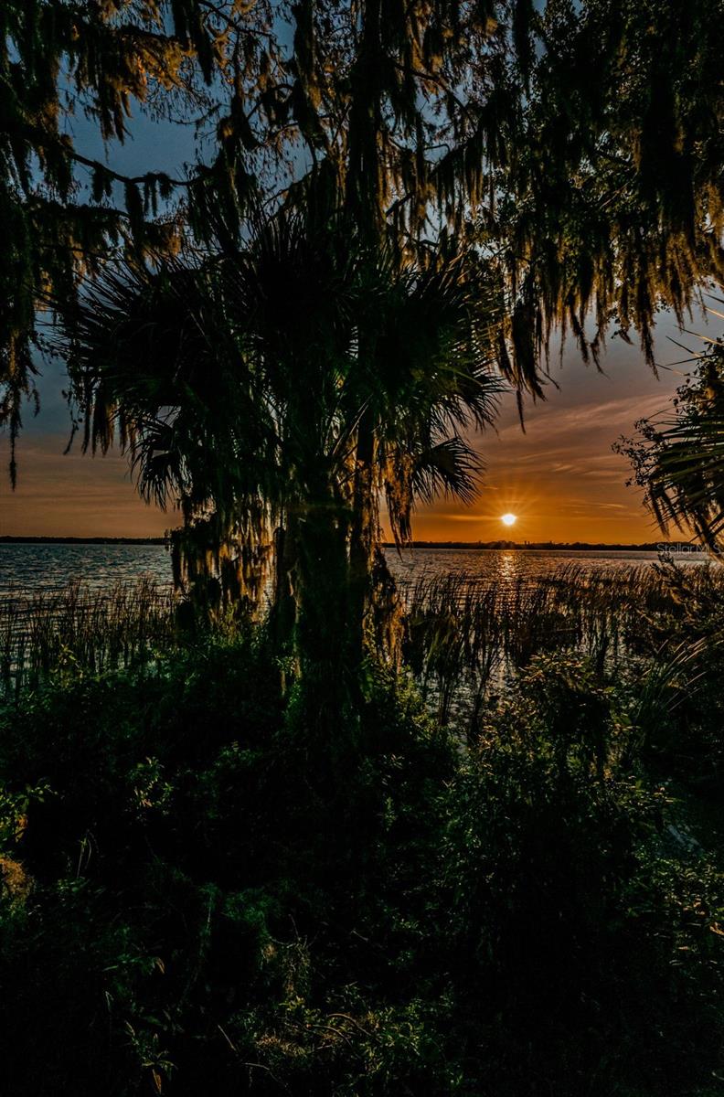 SUNSET AT LANSBROOK SECOND REP - Land