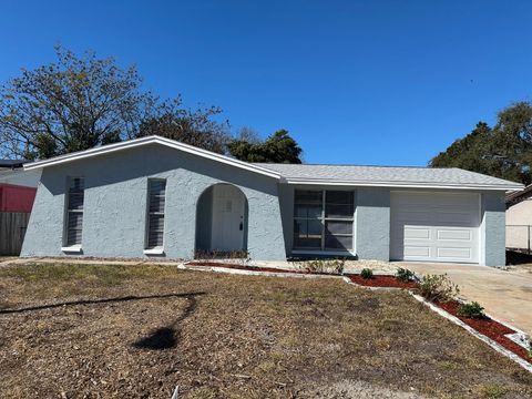 Photo of 11011 Zimmerman Road, Port Richey, FL 34668 (MLS # TB8471377)