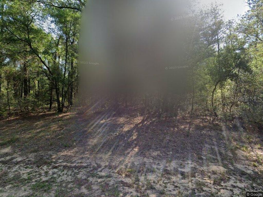 Photo of 491 E Nemo Drive, Dunnellon, FL 34434 (MLS # O6340221)