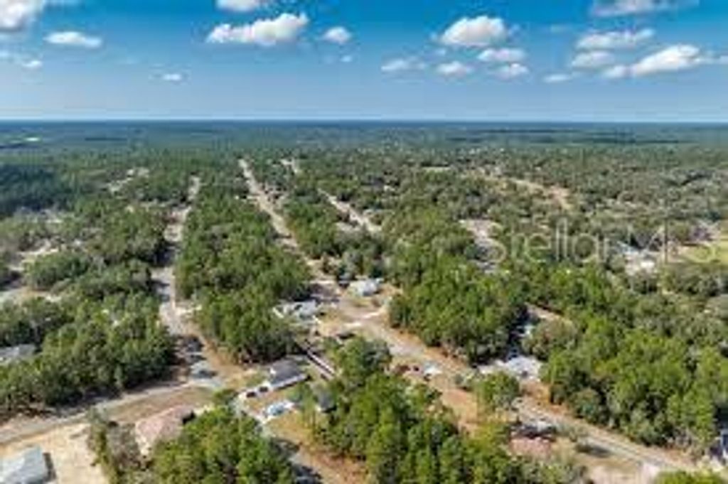 Photo of 491 E Nemo Drive, Dunnellon, FL 34434 (MLS # O6340221)