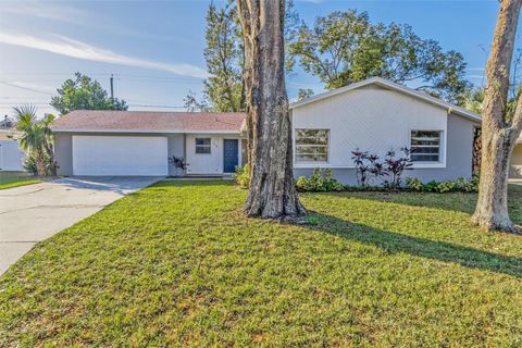 A home in LAKELAND