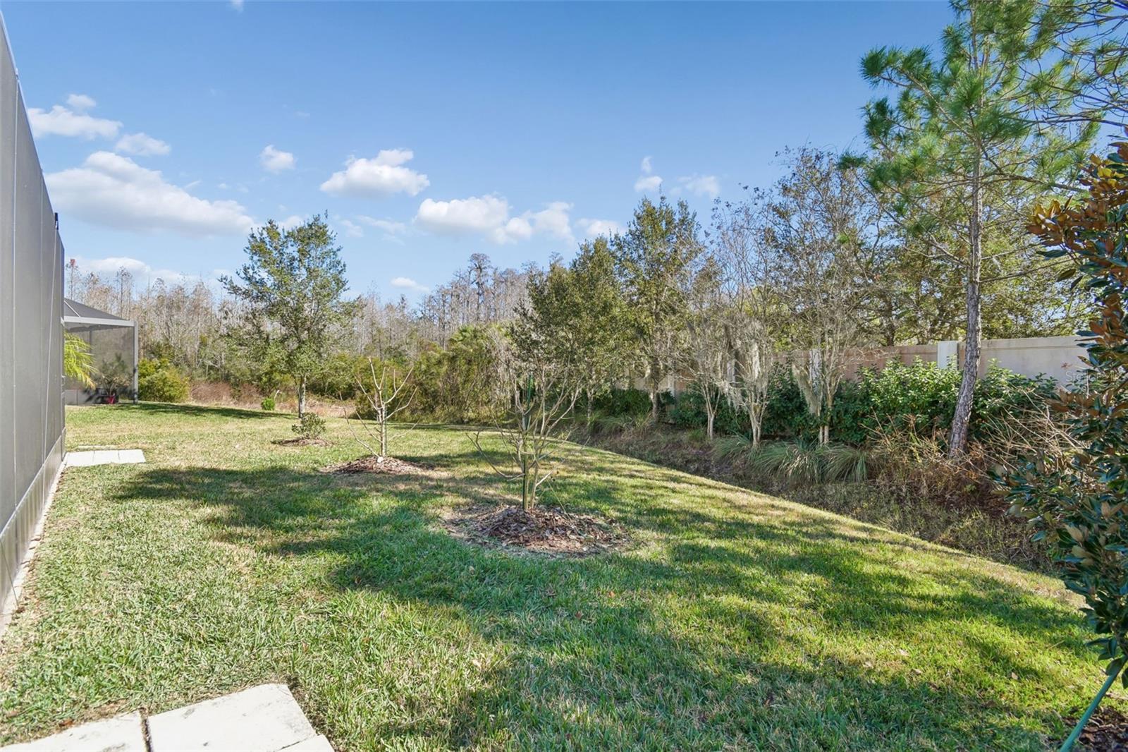 THE RIDGE WIREGRASS M23 PHASE 2 - Residential