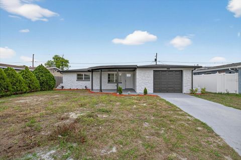 3838 CHERRYWOOD DRIVE HOLIDAY FL 34691