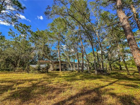 Photo of 14209 Tayco Drive, Weeki Wachee, FL 34614 (MLS # W7886066)