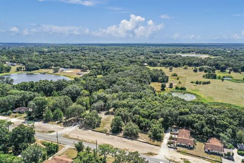 Photo of 907 W Miller Street, Fruitland Park, FL 34731 (MLS # G5065033)