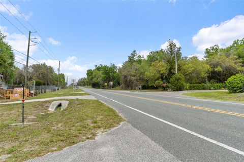 Tiny photo for 3362 N Carl G Rose Highway, Hernando, FL 34442 (MLS # G5110163)