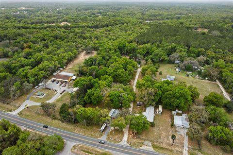 Tiny photo for 3362 N Carl G Rose Highway, Hernando, FL 34442 (MLS # G5110163)