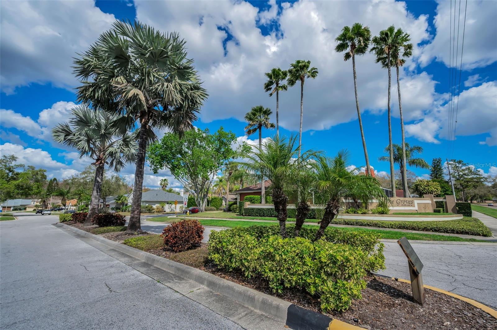 GROVES AT COBBS LANDING - Residential