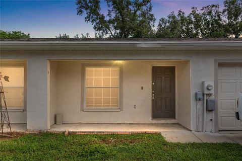 Photo of 37227 Grassy Hill Lane, Dade City, FL 33525 (MLS # TB8499791)