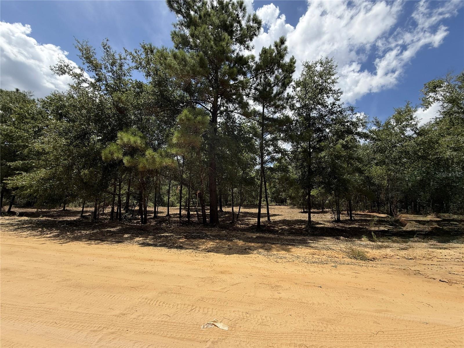 INTERLACHEN LAKES ESTATES - Land