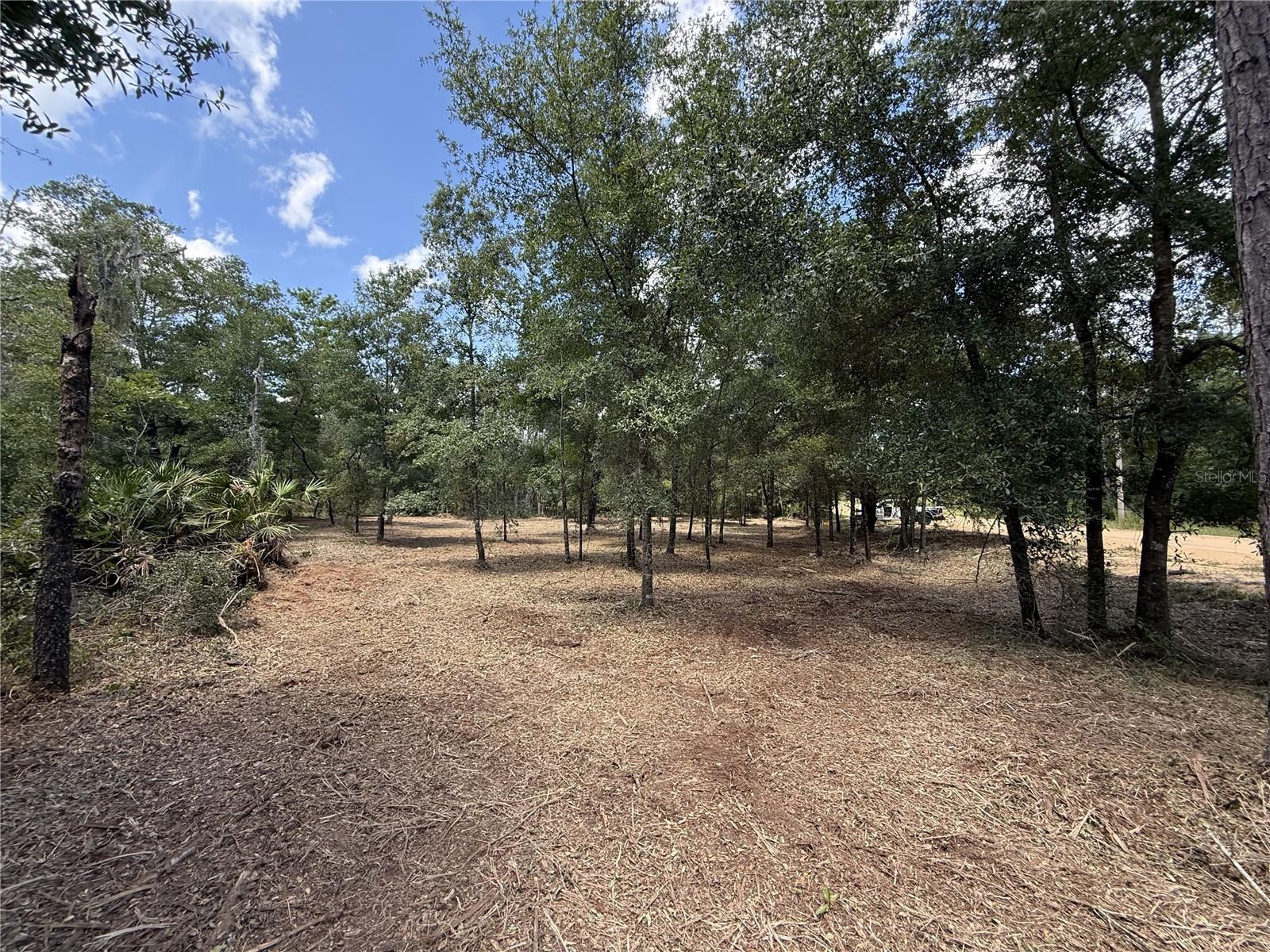 INTERLACHEN LAKES ESTATES - Land