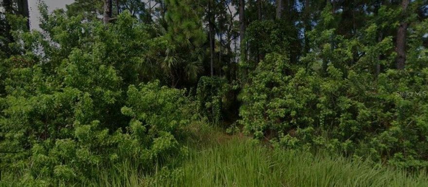 Discover the perfect place to build your Florida dream home! This peaceful 0.24-acre residential lot is tucked away in a quiet neighborhood of  Palm Bay, offering privacy, natural surroundings, and plenty of space to create your ideal retreat. Enjoy convenient access to Bayside Lakes shopping, schools, restaurants, and the new I-95 interchange, all just a short drive away. With no HOA restrictions, you can design freely and live the relaxed Space Coast lifestyle—just minutes from beautiful beaches, parks, and outdoor recreation. Whether you’re ready to build now or hold as an investment, this property offers comfort, convenience, and future growth potential.