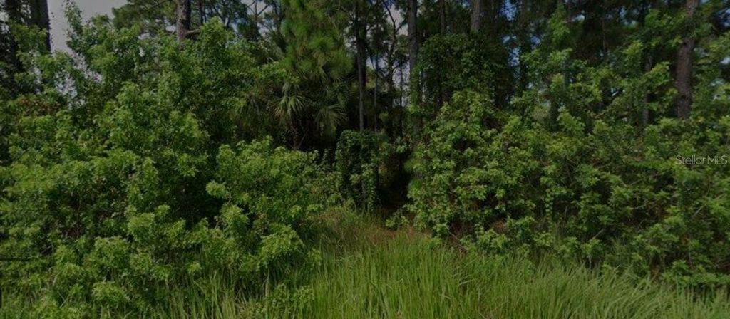 Photo of 447 Trumpet Street SW, Palm Bay, FL 32908 (MLS # O6354242)