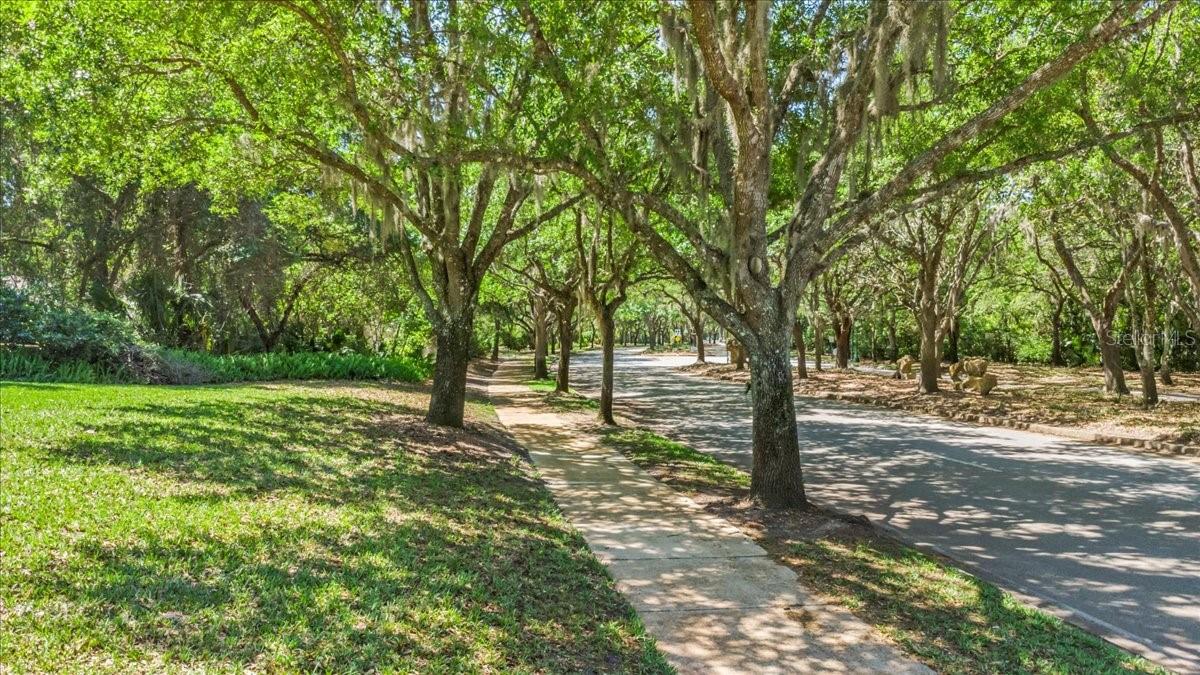 HALIFAX PLANTATION PH 4 I SEC - Residential