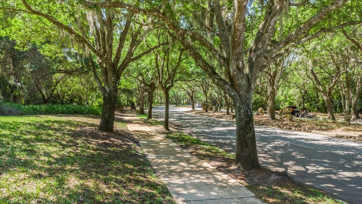 HALIFAX PLANTATION PH 4 I SEC - Residential