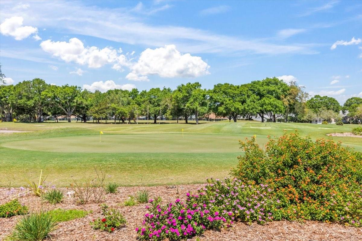 HALIFAX PLANTATION PH 4 I SEC - Residential