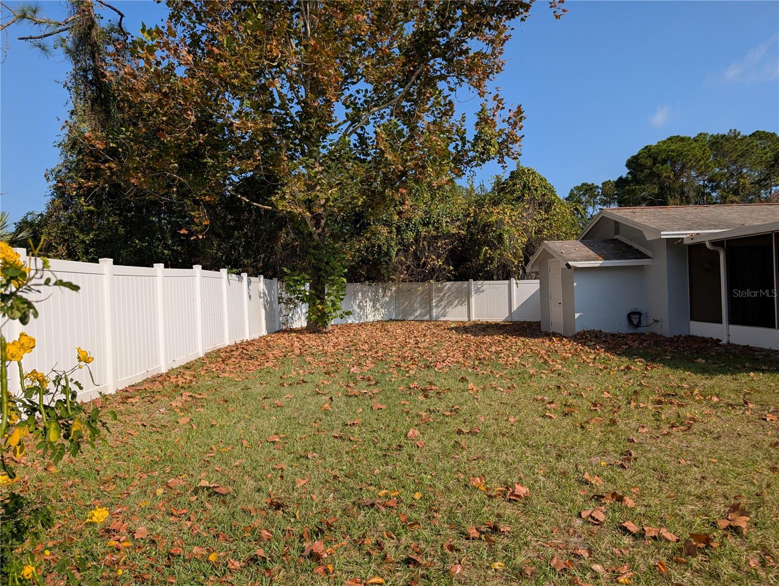 PALM COAST/BERNARD MDWS SEC 81 - Residential