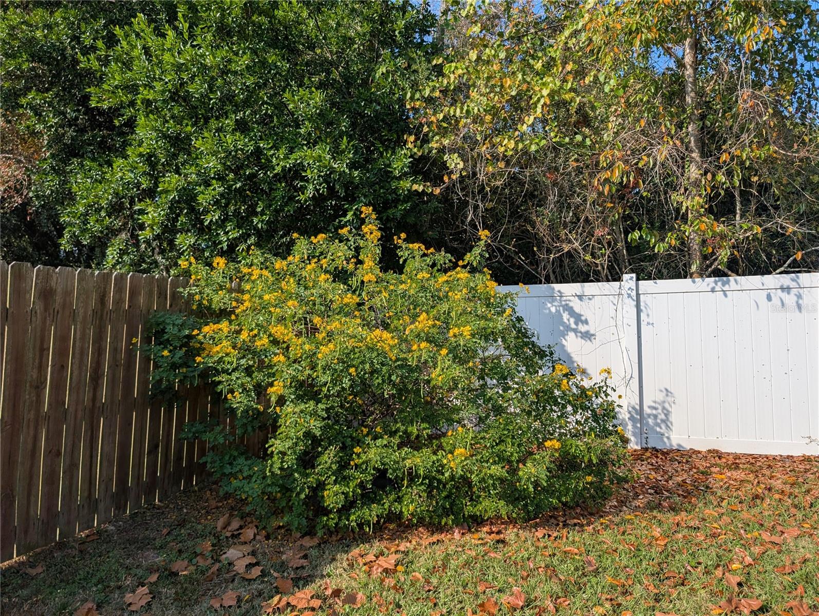 PALM COAST/BERNARD MDWS SEC 81 - Residential