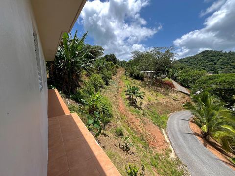 FINCA JOSE ANTONIA BO YAHUECAS CARR 135 KM 15.9 1 ADJUNTAS  00601