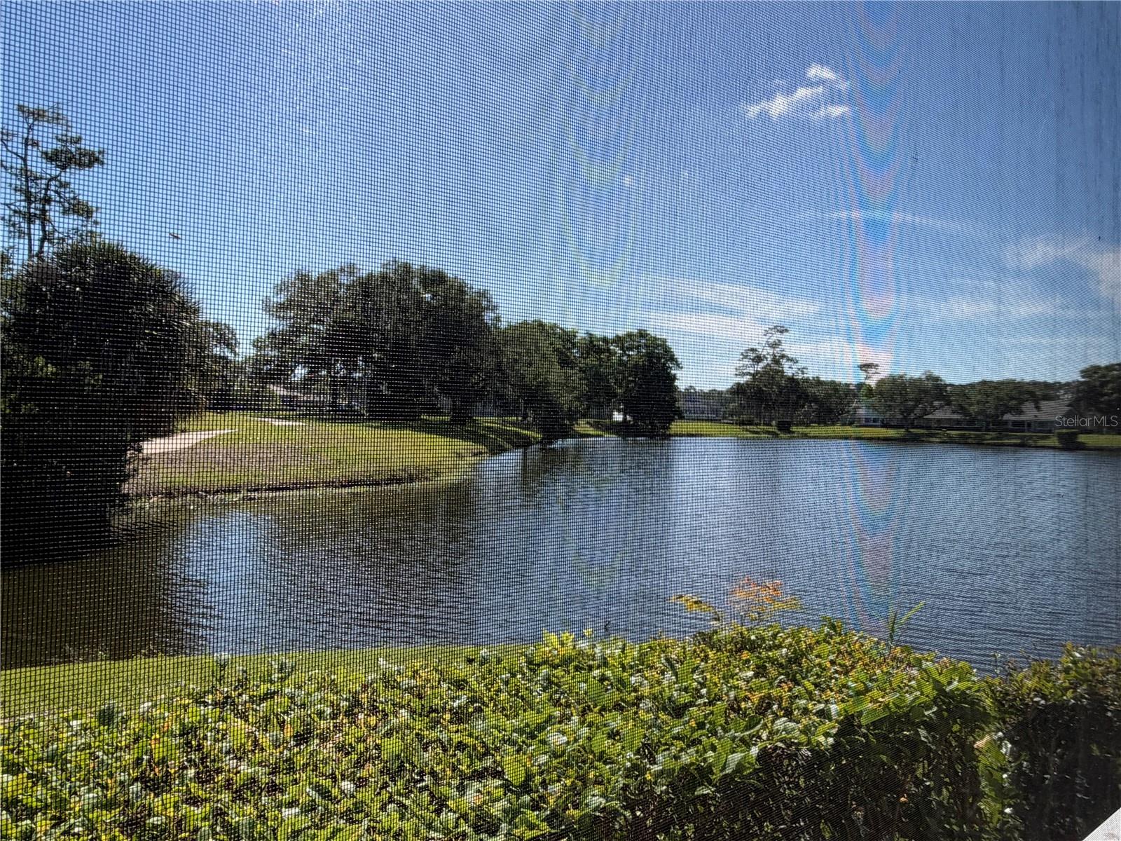 PLANTATION BAY - Residential